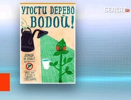 «Пачастуй дрэва вадой» – заклік беларускіх блогераў ператварыўся ў флэшмоб