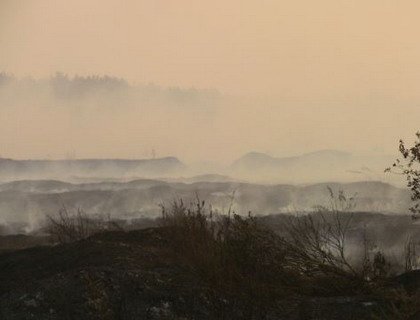 Пад Бабруйскам гараць тарфянікі