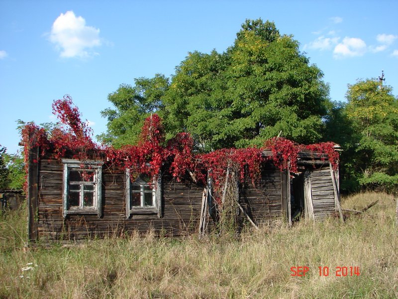 Пестрые картинки из Полесского заповедника-9