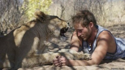 В Ботсване львица и человек стали неразлучными друзьями