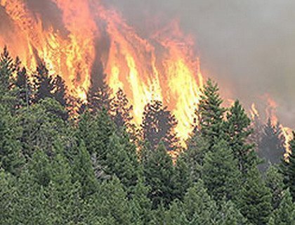 Площадь лесных пожаров в Забайкалье за сутки удвоилась