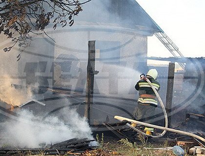 Гродненские спасатели ликвидировали пожар в приюте для бездомных животных