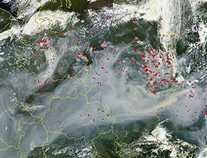 Площадь лесных пожаров в Сибири достигла 1,7 млн га