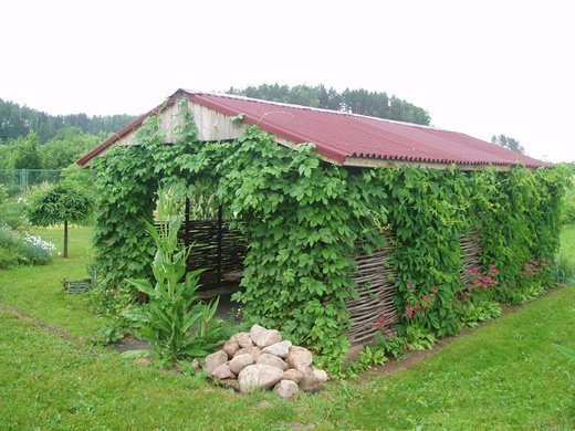 Беседка-корзина своими руками