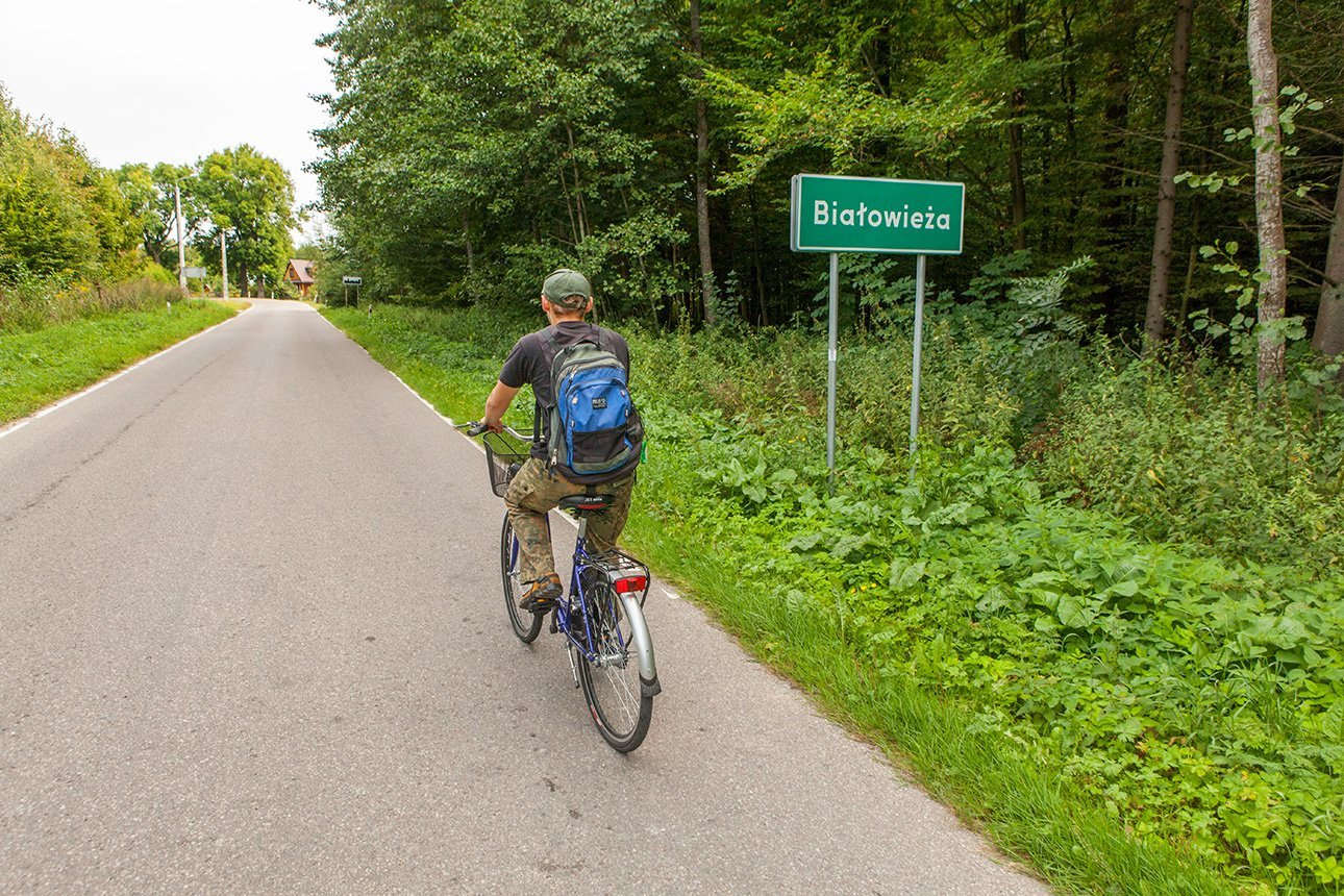 На велосипеде – в Европу, или Фешенебельный отдых среди реликтовых лесов