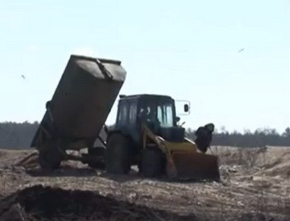 Под Бобруйском памятник природы «Дубрава» страдает из-за соседства с отходами кожзавода