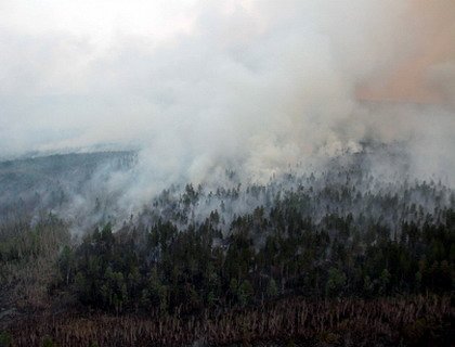 Дождь над лесными пожарами в Иркутской области вызывают искусственно