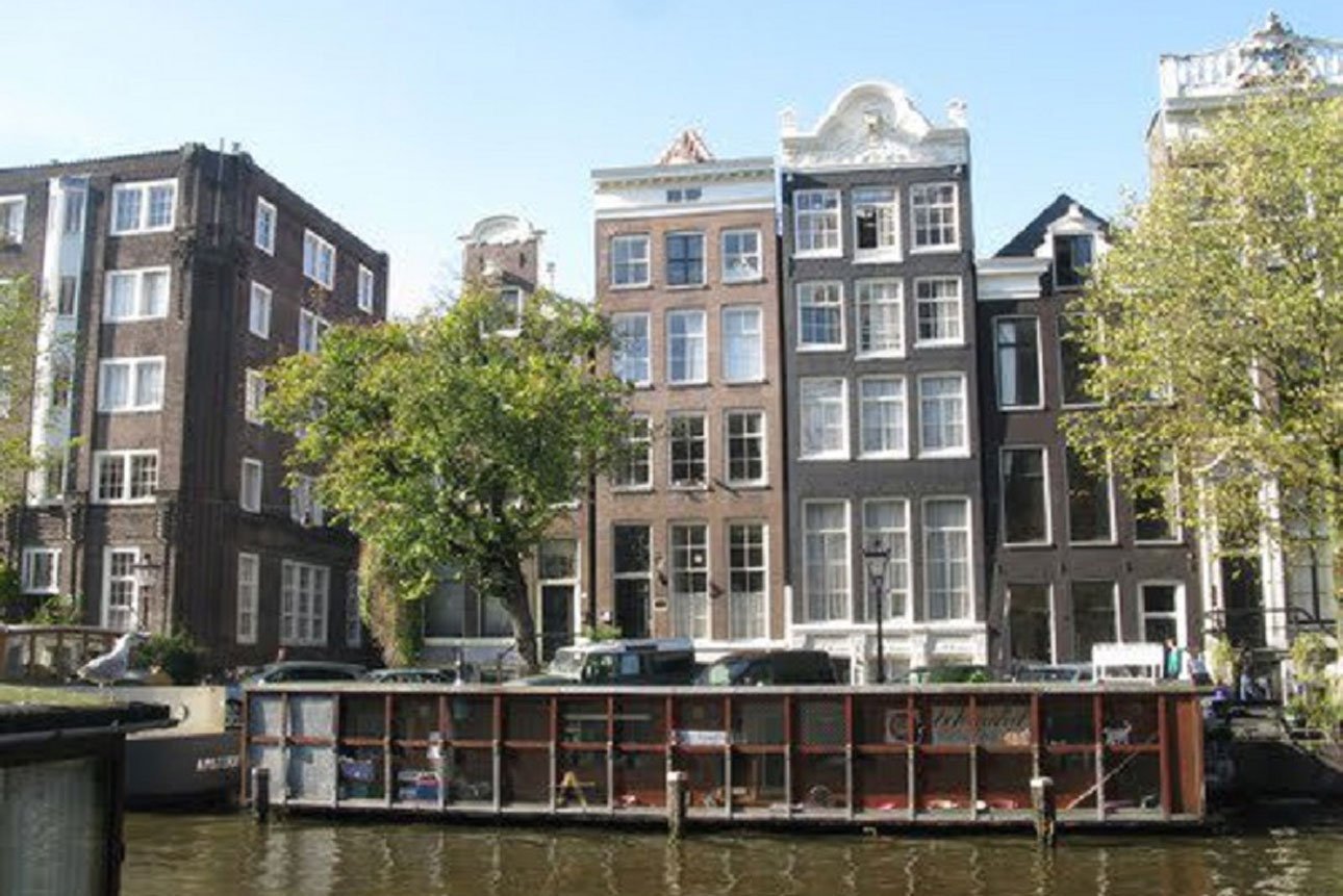 Единственный в мире плавучий приют для кошек: опыт Амстердама