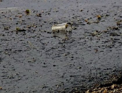 Калининград сбрасывает отходы в Балтийское море