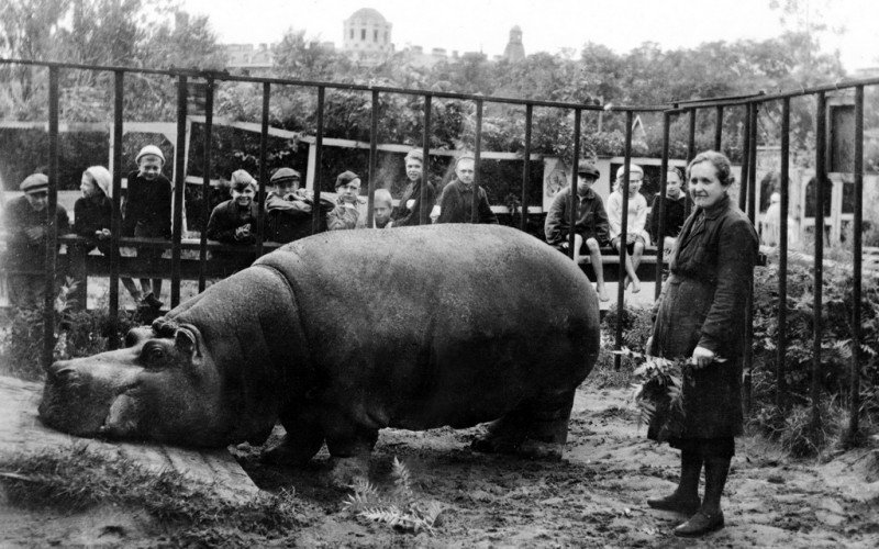 Как Ленинградский зоопарк пережил блокаду