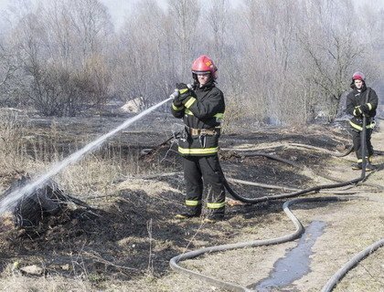 В Светлогорском районе ввели запрет на посещение лесов