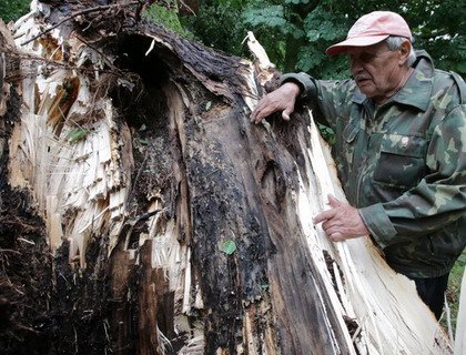 Ад разбуральнага ветру трагічна пацярпеў Лошыцкі парк