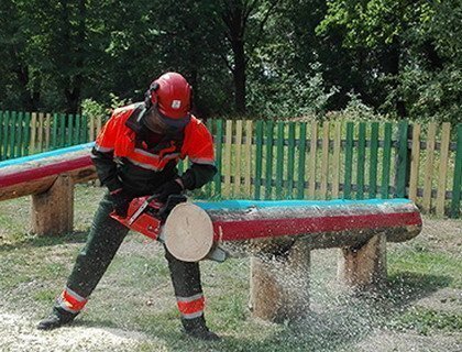 Сборная Минлесхоза победила в открытом республиканском чемпионате «Лесоруб-2016»