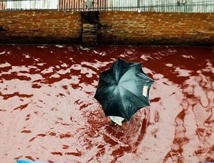 Курбан-байрам в столице Бангладеш: Вода стала красной от крови забитых животных