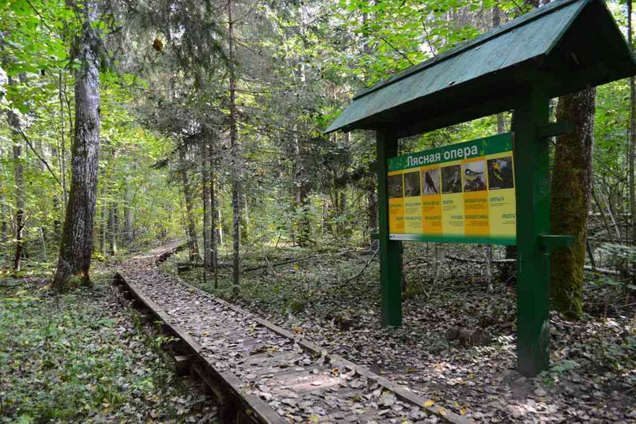 Середина осени на экологической тропе