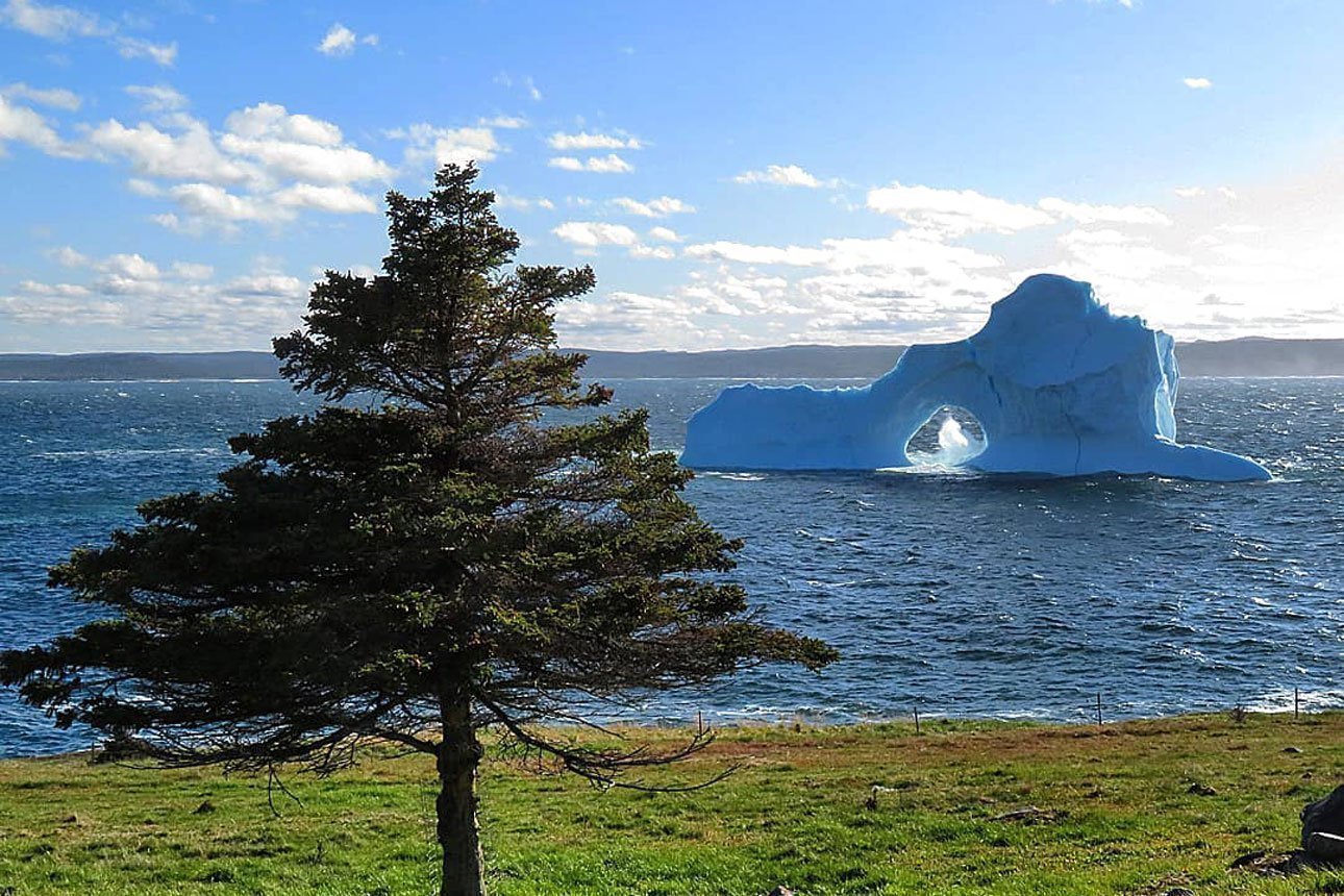 Необычный айсберг приплыл в Канаду