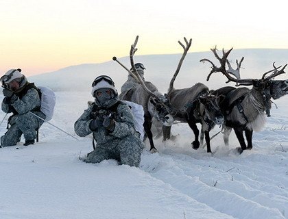 Оленей и собак собираются призывать в российскую армию