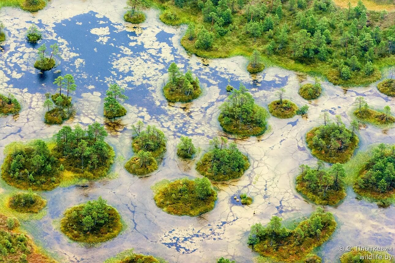 Минеральные острова на болотах