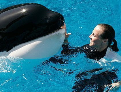 Освободите Тилли. Как один фильм заставил океанариумы SeaWorld отказаться от шоу с косатками