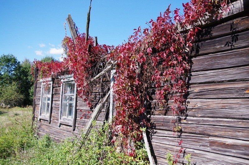 Зона притяжения, или Большое половодье-2013. Часть 2