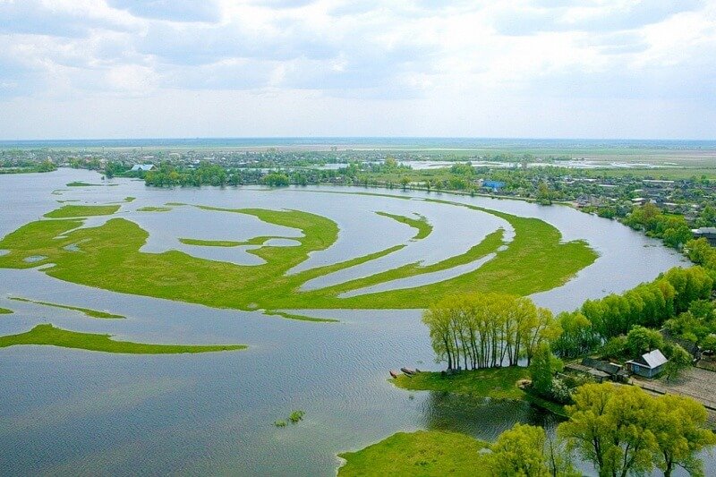 Экосистемы, которые мы теряем: пойменные луга. Часть I