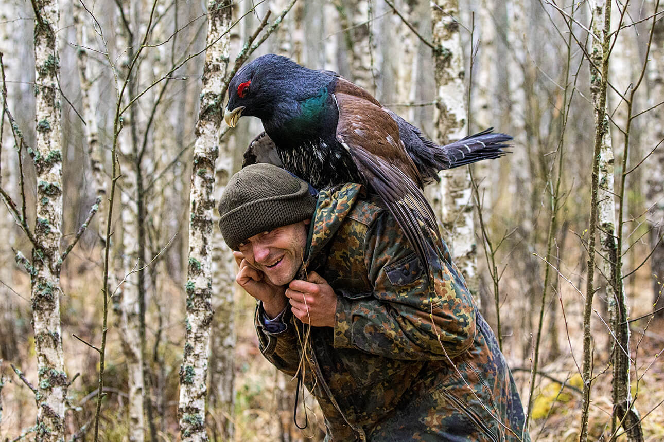 Глухарь, токующий на человеке