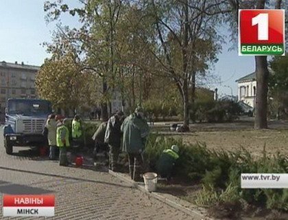 В Минске приступили к осенним посадкам деревьев, кустов и луковичных цветов