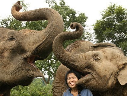 Активный отдых и необычные каникулы – со слонами