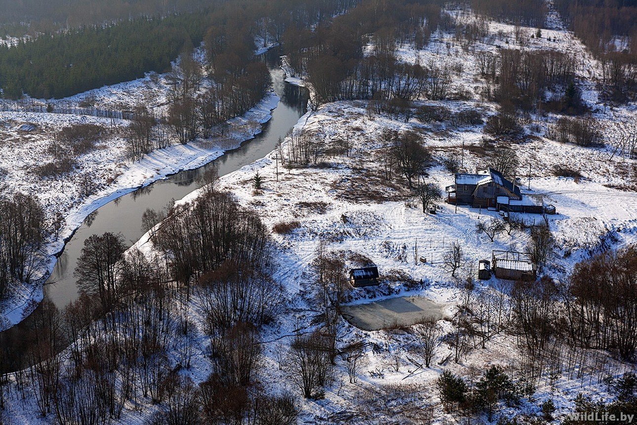 Изумрудная заимка бийск малоенисейское фото