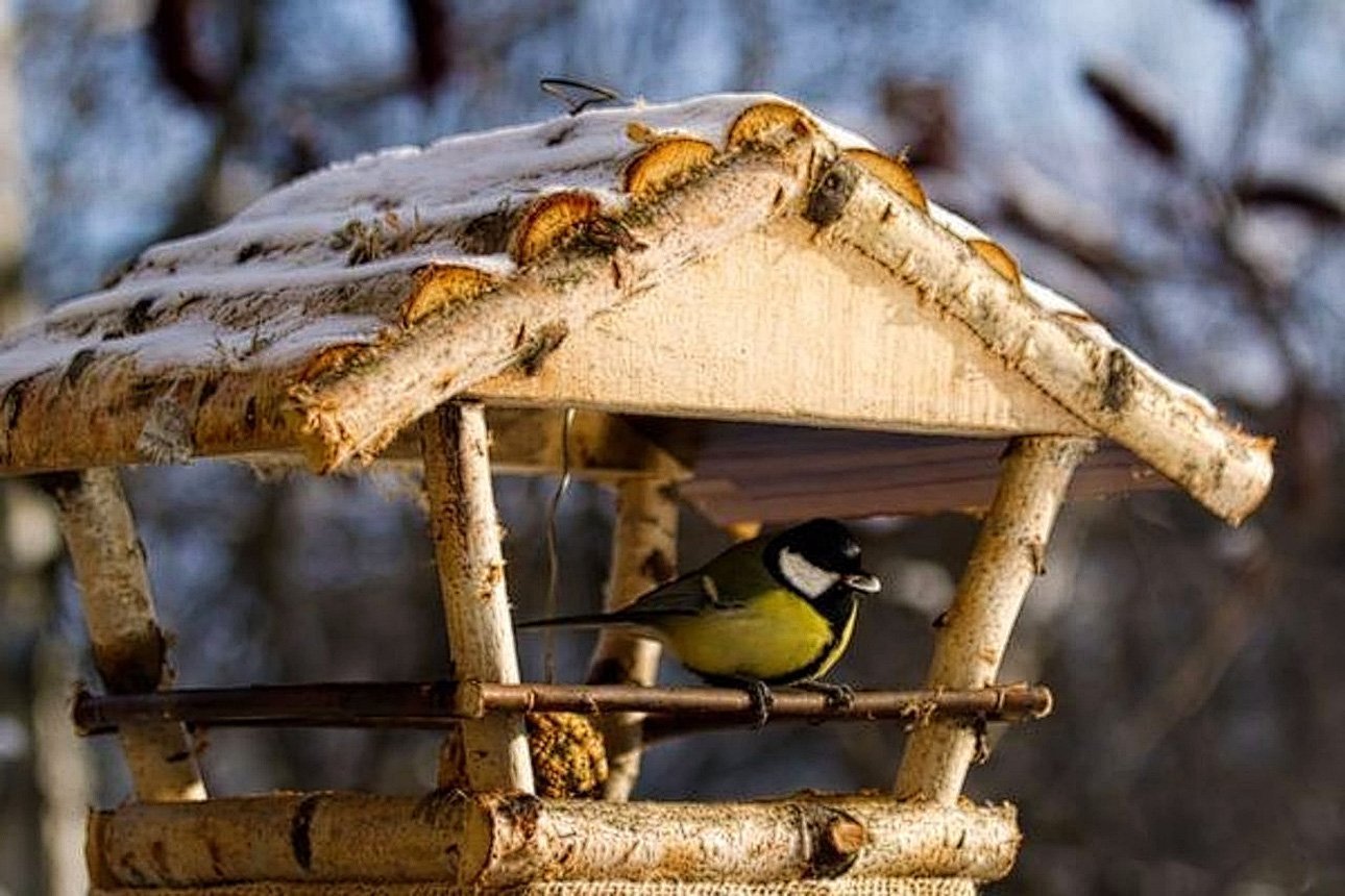 В Витебском районе школьники изготавливают и продают домики для птиц
