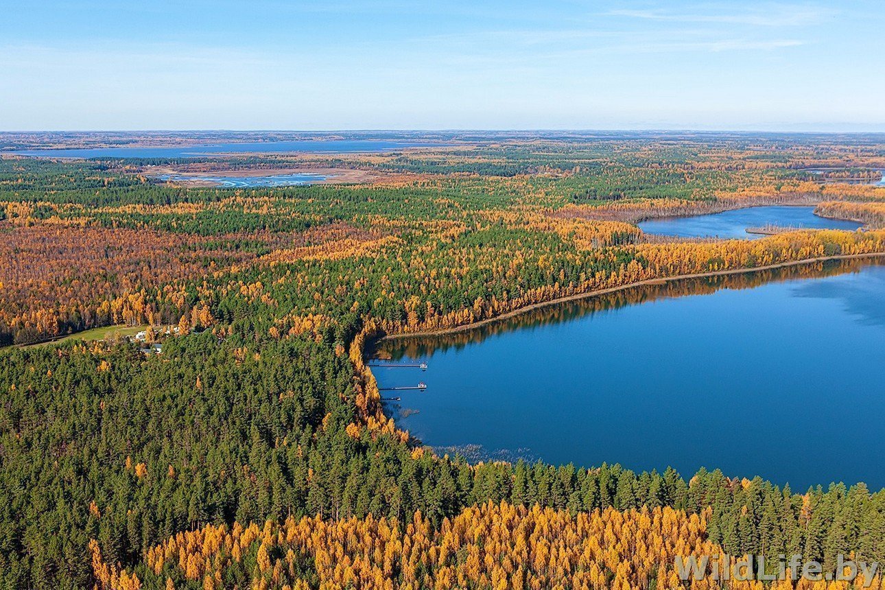 Белорусские заказники пилотируют новый формат экологического образования