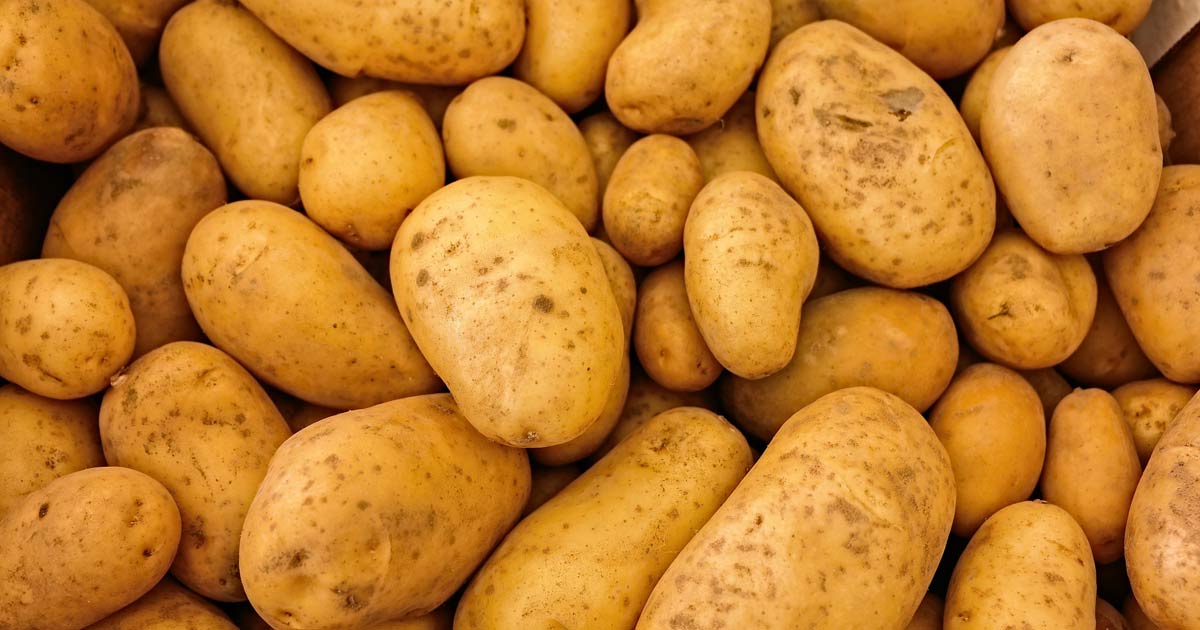 какого числа день картофеля