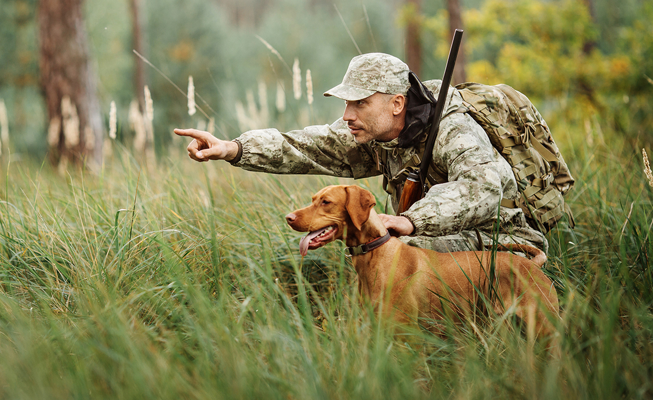 top-tips-for-hunting-dog-training_Hero-Image.jpg