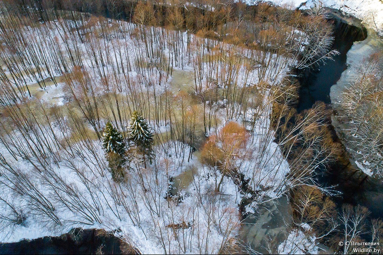 24-DJI_0030.jpg
