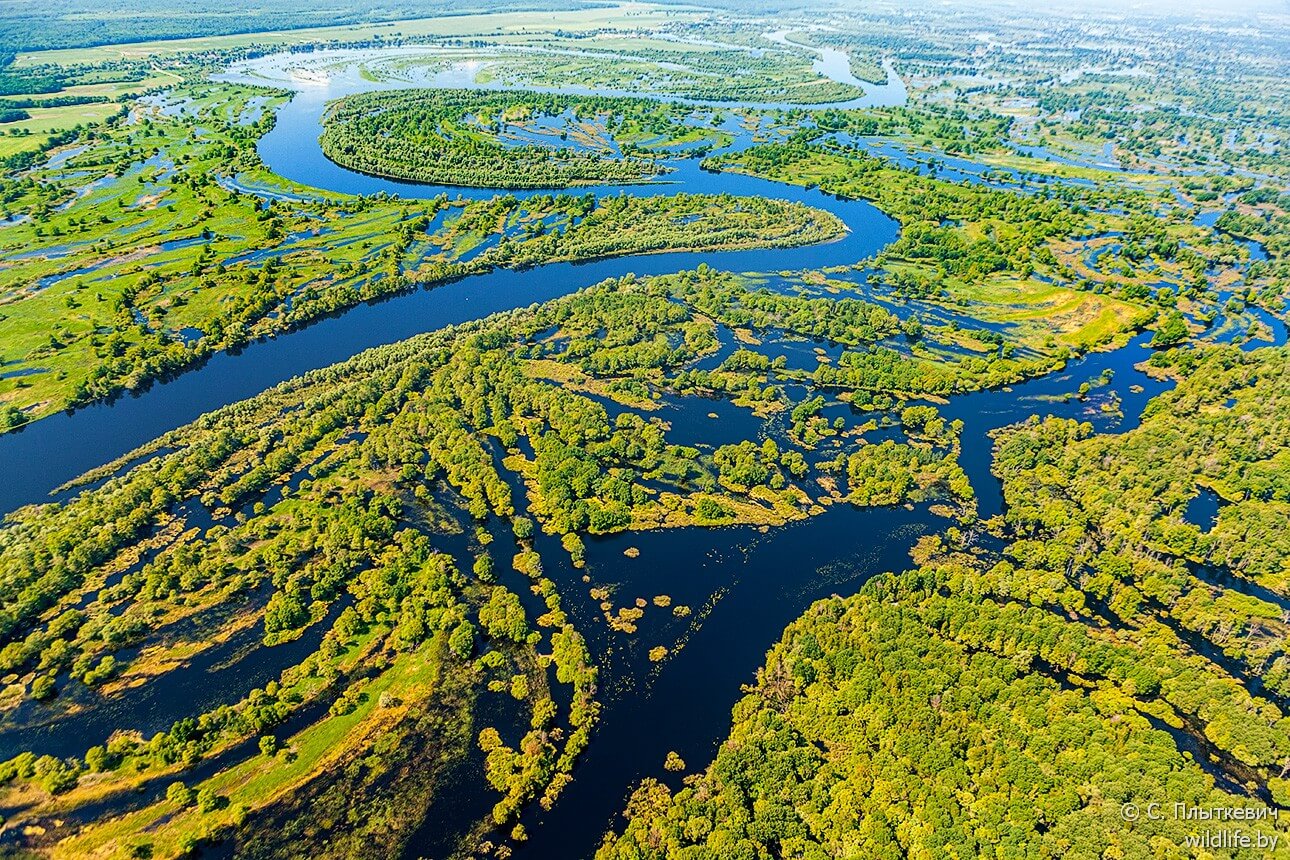 Река Припять в Белоруссии