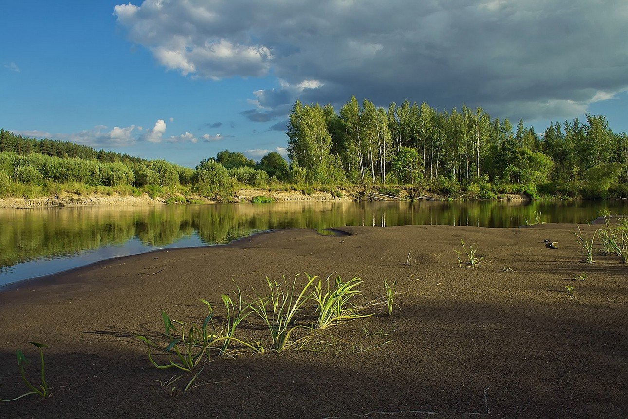 Рыбалка на реке Свислочь Беларусь
